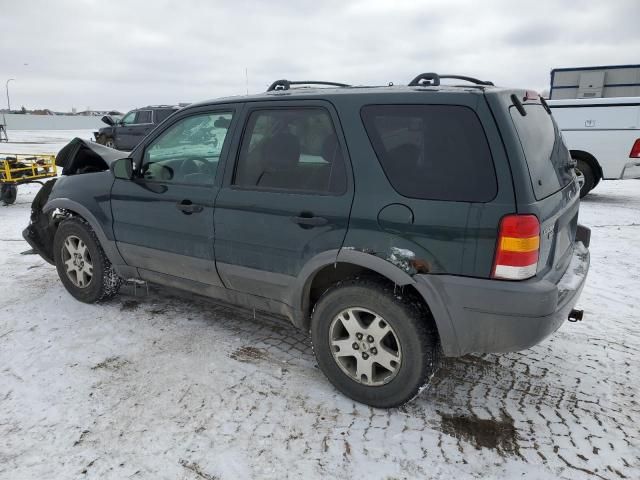 2003 Ford Escape XLT