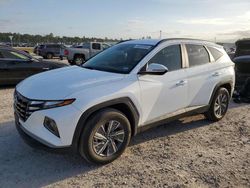 Salvage cars for sale at Houston, TX auction: 2022 Hyundai Tucson Blue