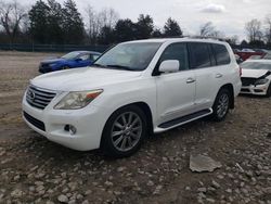 Lexus LX570 salvage cars for sale: 2011 Lexus LX 570