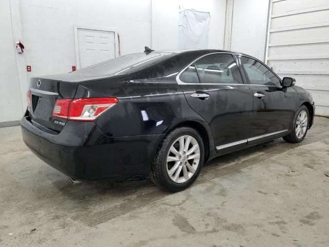 2010 Lexus ES 350