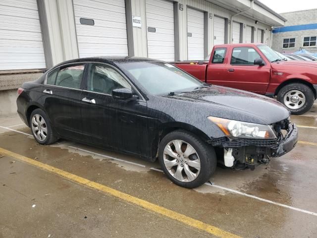 2008 Honda Accord EXL