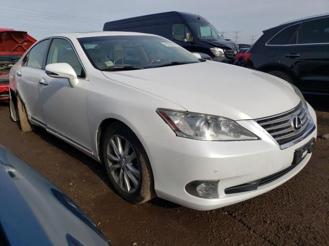 2011 Lexus ES 350