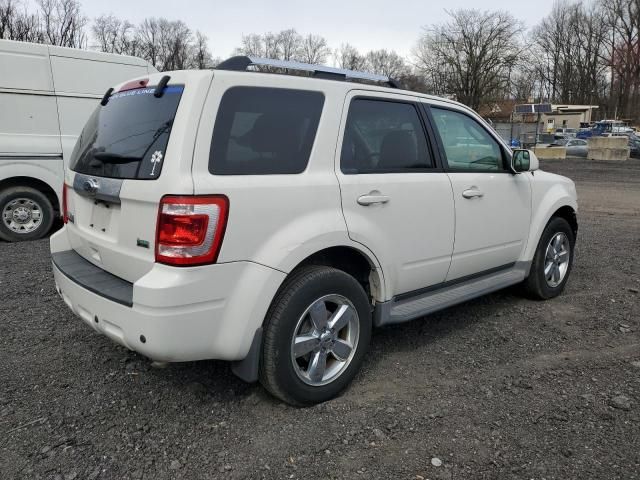 2011 Ford Escape Limited