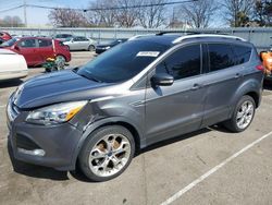 Salvage cars for sale from Copart Moraine, OH: 2013 Ford Escape Titanium