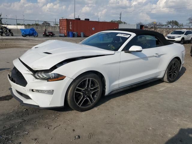 2019 Ford Mustang