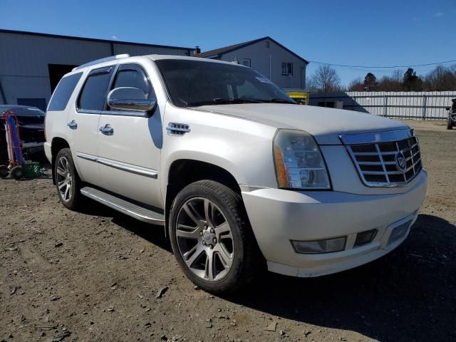 2007 Cadillac Escalade Luxury