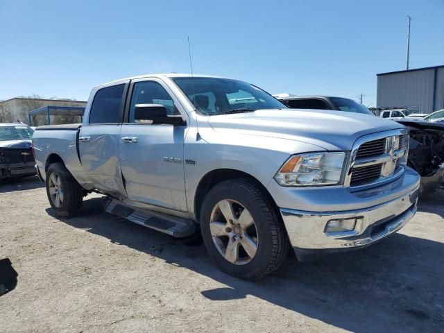 2010 Dodge RAM 1500