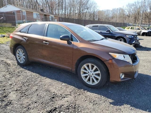 2010 Toyota Venza