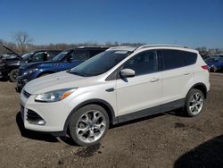 Ford Escape salvage cars for sale: 2016 Ford Escape Titanium