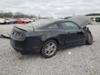 2013 Ford Mustang