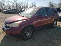 Salvage cars for sale from Copart Baltimore, MD: 2010 Honda CR-V EXL