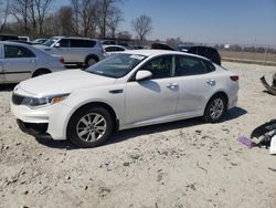 Salvage cars for sale from Copart Cicero, IN: 2016 KIA Optima LX