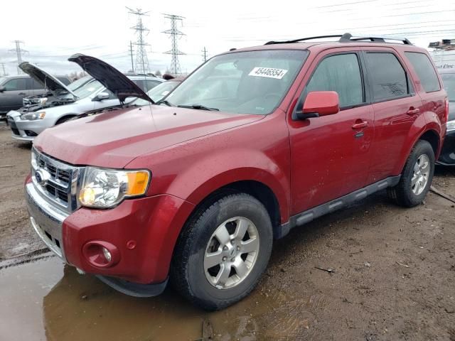 2010 Ford Escape Limited