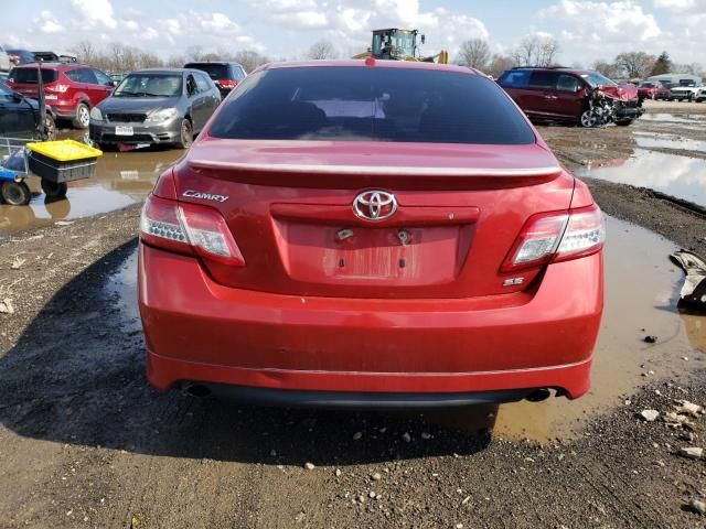 2010 Toyota Camry Base