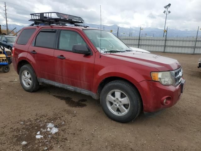 2012 Ford Escape XLT