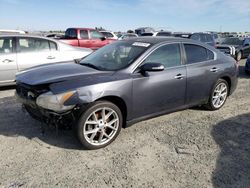 Vehiculos salvage en venta de Copart Antelope, CA: 2009 Nissan Maxima S