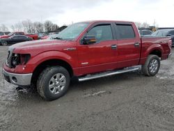 2013 Ford F150 Supercrew for sale in Duryea, PA