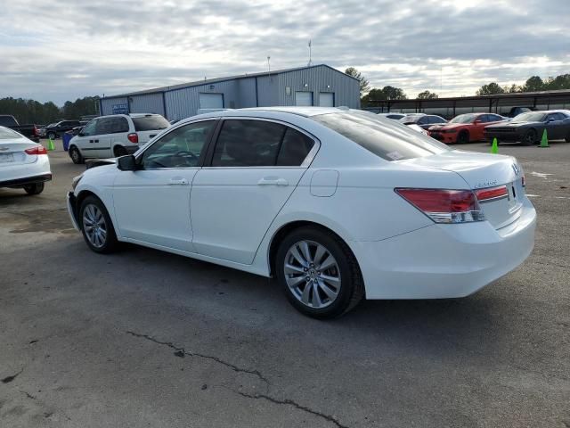 2011 Honda Accord EXL