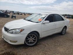 Toyota Vehiculos salvage en venta: 2005 Toyota Camry LE