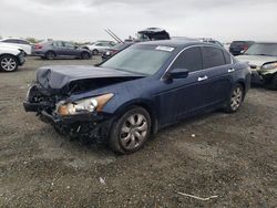 Salvage cars for sale at Antelope, CA auction: 2010 Honda Accord EXL