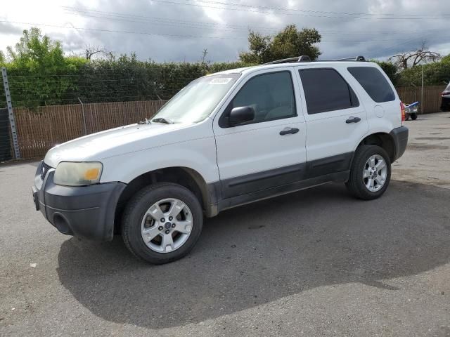 2007 Ford Escape XLT