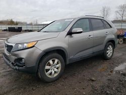 Salvage cars for sale from Copart Columbia Station, OH: 2011 KIA Sorento Base