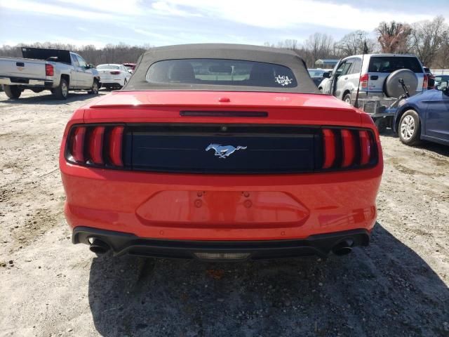 2019 Ford Mustang