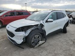 Ford Escape SEL salvage cars for sale: 2020 Ford Escape SEL