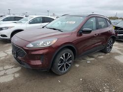 Salvage cars for sale at Indianapolis, IN auction: 2021 Ford Escape SE