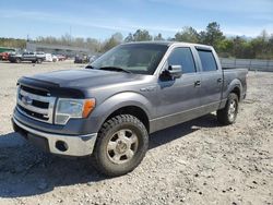 Salvage cars for sale at Memphis, TN auction: 2013 Ford F150 Supercrew