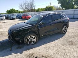 Salvage cars for sale at San Antonio, TX auction: 2020 Ford Escape SEL