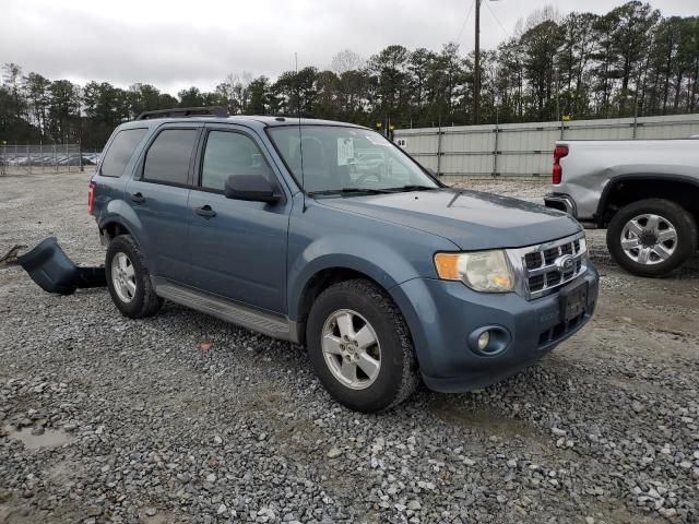 2011 Ford Escape XLT