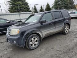 Salvage cars for sale from Copart Albany, NY: 2011 Honda Pilot EXL
