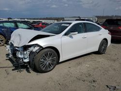 Salvage cars for sale at Earlington, KY auction: 2024 Lexus ES 250 Base