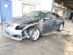 Salvage cars for sale at Tucson, AZ auction: 2013 Nissan Altima S