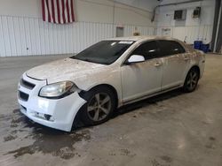 Salvage cars for sale from Copart Lumberton, NC: 2011 Chevrolet Malibu 1LT