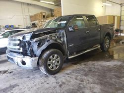 Salvage cars for sale from Copart Ham Lake, MN: 2014 Ford F150 Supercrew