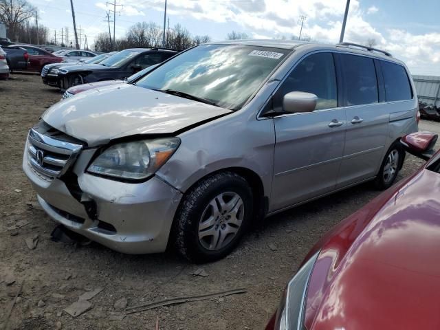 2005 Honda Odyssey EX