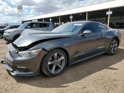 Salvage cars for sale from Copart Phoenix, AZ: 2017 Ford Mustang