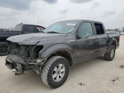 Salvage cars for sale from Copart San Antonio, TX: 2015 Ford F150 Supercrew