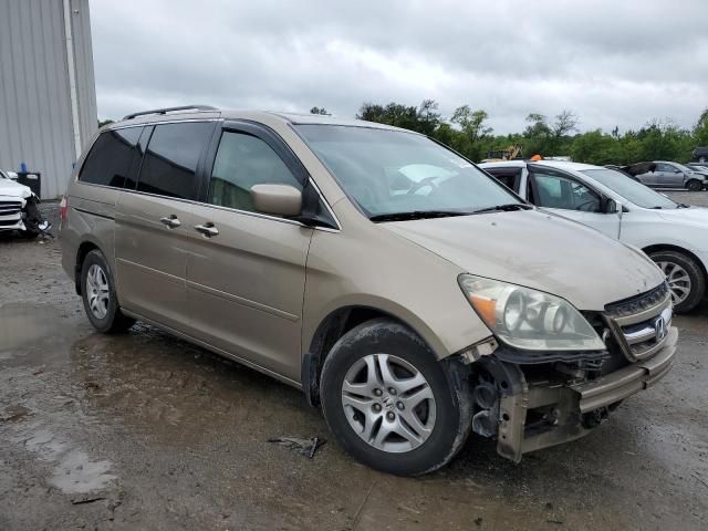 2005 Honda Odyssey EXL