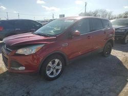 Ford Vehiculos salvage en venta: 2015 Ford Escape SE