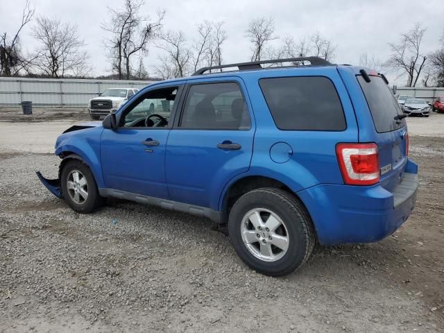 2011 Ford Escape XLT