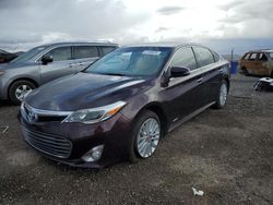 Salvage cars for sale at North Las Vegas, NV auction: 2013 Toyota Avalon Hybrid