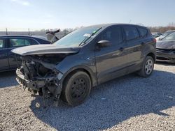 Salvage cars for sale from Copart Louisville, KY: 2019 Ford Escape S