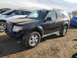 Ford Escape XLT salvage cars for sale: 2009 Ford Escape XLT