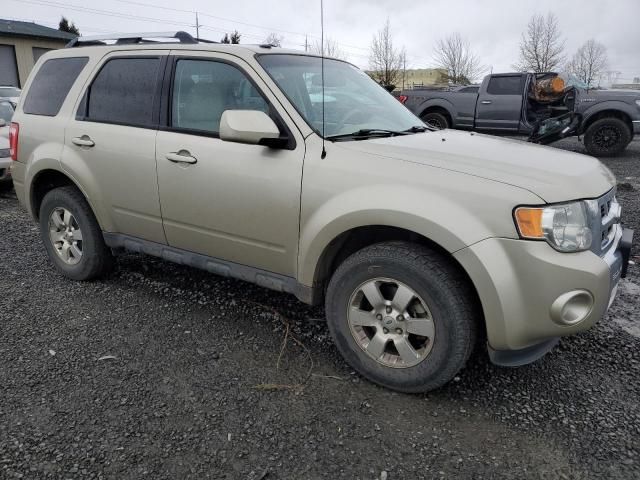 2012 Ford Escape Limited