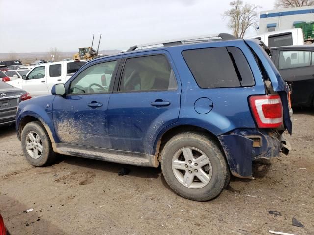 2008 Ford Escape HEV