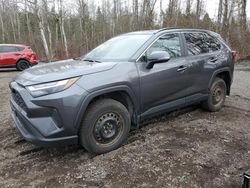 Salvage cars for sale at Bowmanville, ON auction: 2022 Toyota Rav4 XLE