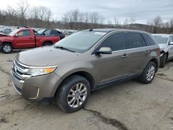 Salvage cars for sale at Marlboro, NY auction: 2013 Ford Edge Limited
